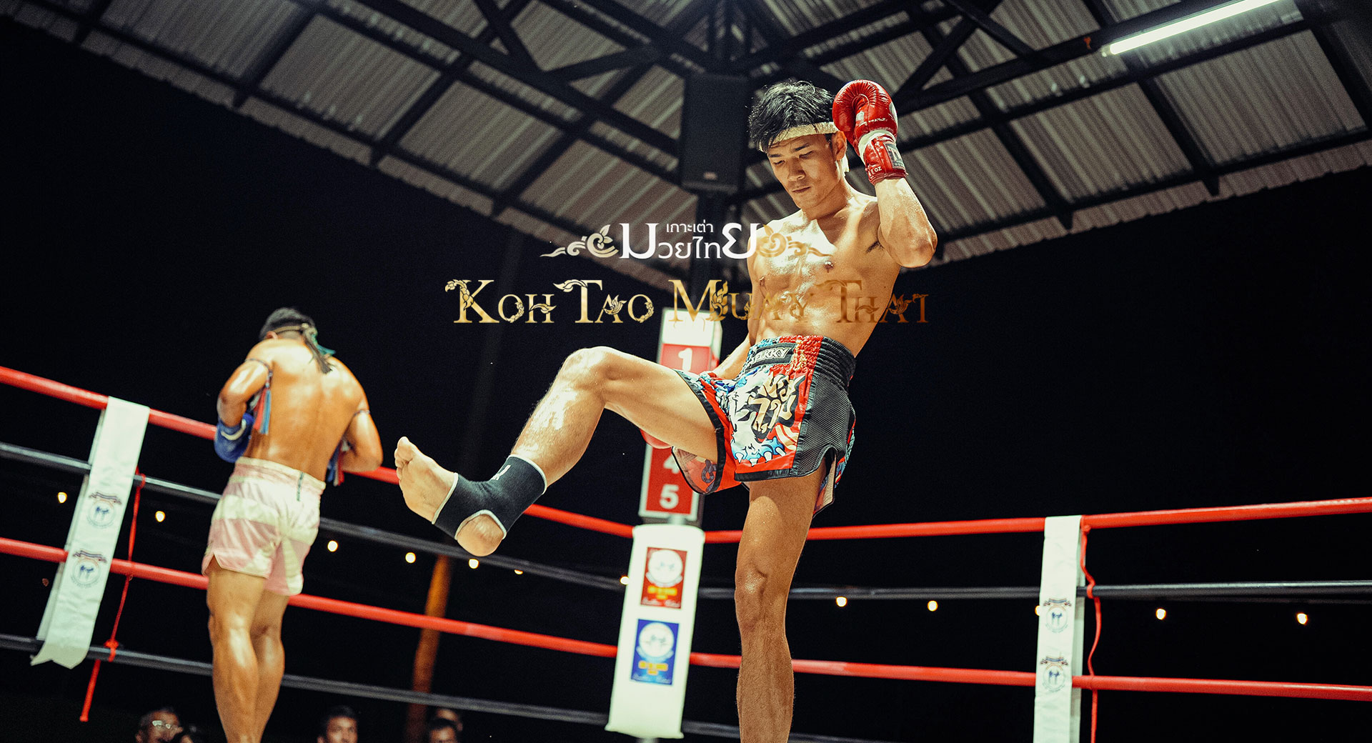 koh tao muay thai