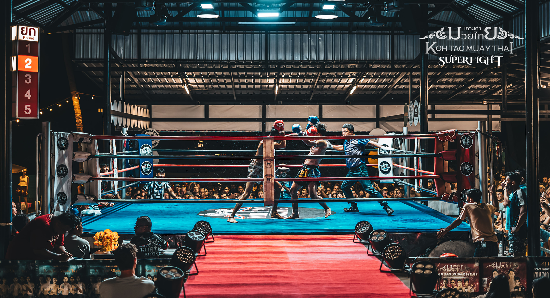 koh tao muay thai