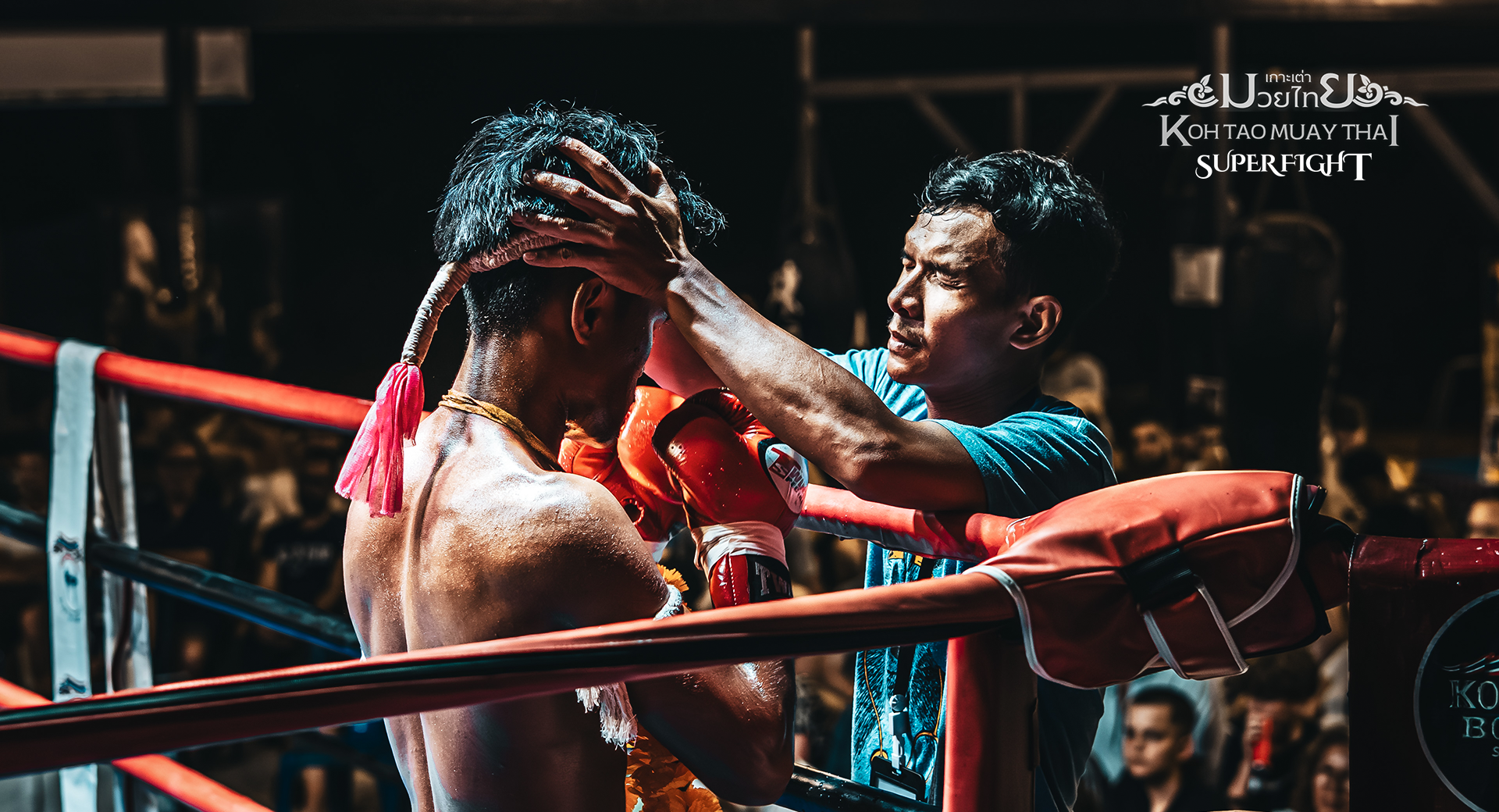 koh tao muay thai